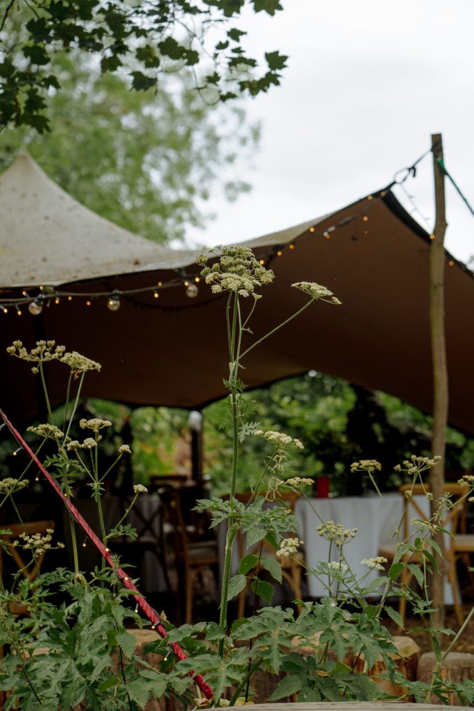 festival weddng planning in a tipi at this green moon